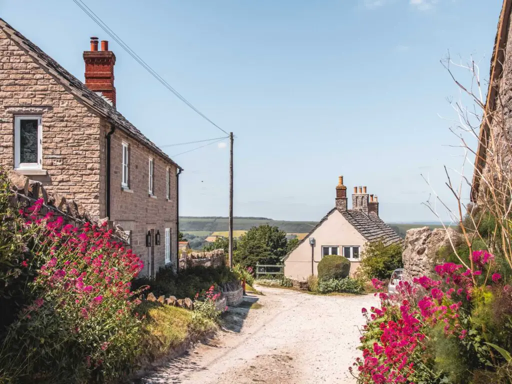 A path lined with bright pink flowers leading to a couple of quaint houses in Kingston, Dorset.