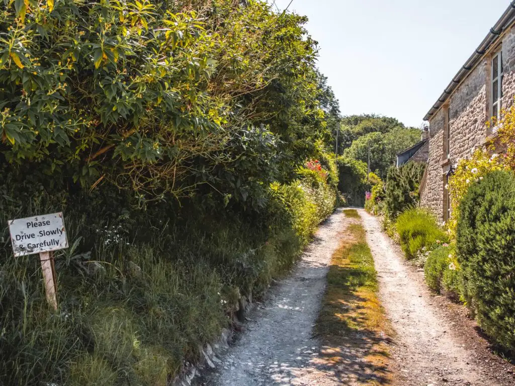 A gravel track with trees and bushes on the left and brick and flint houses on the right.