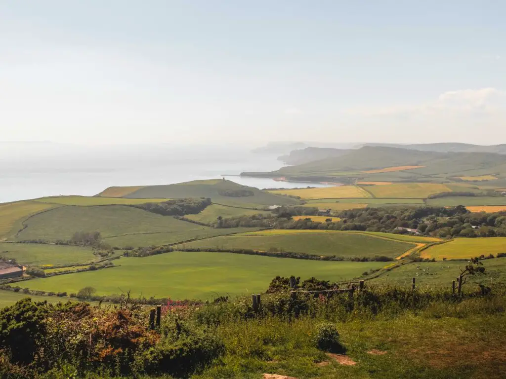 A view along the coastline landscape with fields of green and yellow in the Kimmeridge coastal walk.