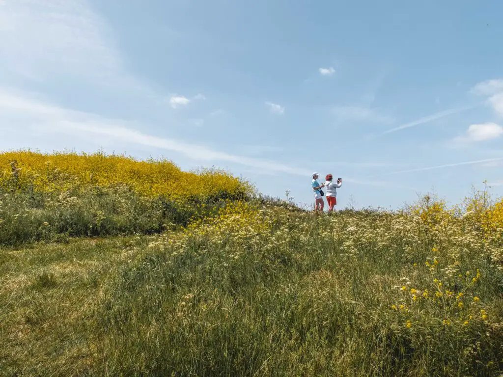 Overgrown grass and, shrubbery and yellow flowers with two people standing.