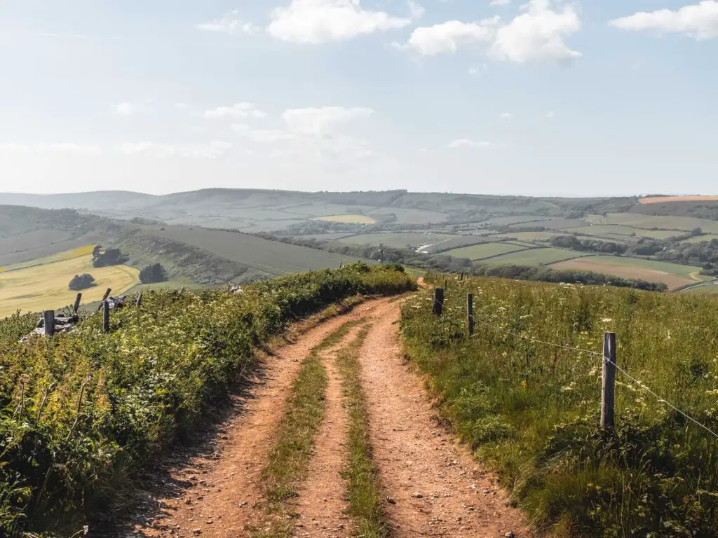 A gravel dirt track lined with bushes and long grass, and a hilly landscape ahead.