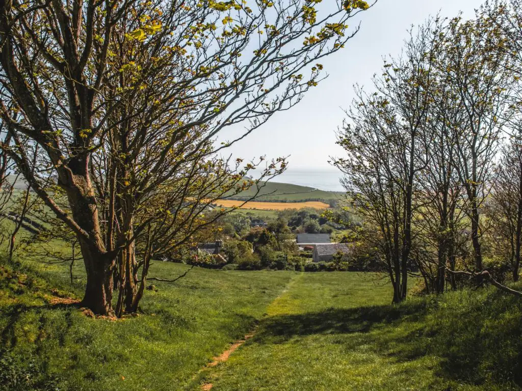 A grass field going downhill with a trail running through some trees. There are some rooftops of Kimmeridge ahead out of the field.