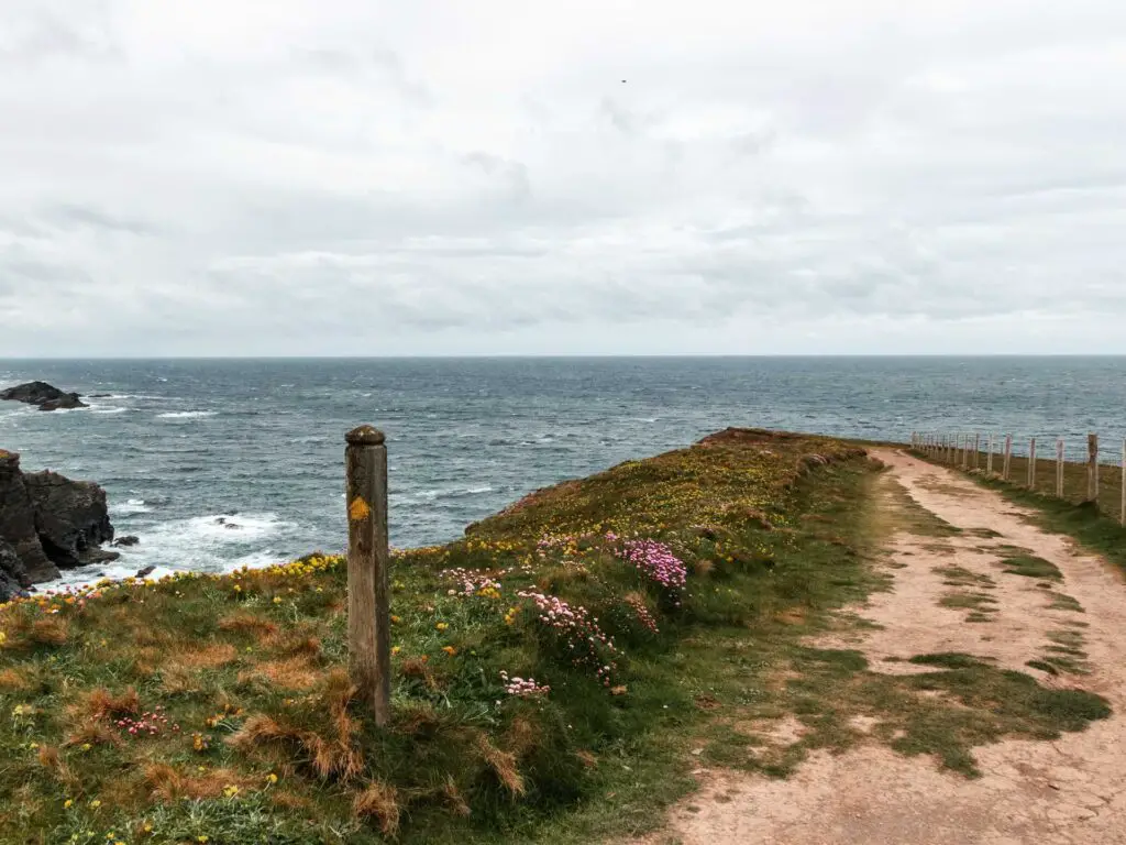 A large dirt trail along the grass covered clifftop with the se behind. There is a wooden signpost stump next to the trail.