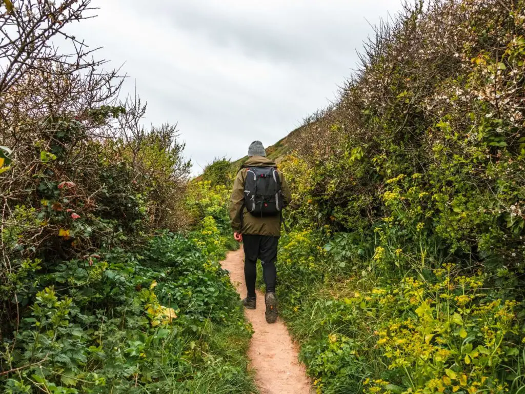 A man walking on a narrow trail with green bushes and grass on either side.