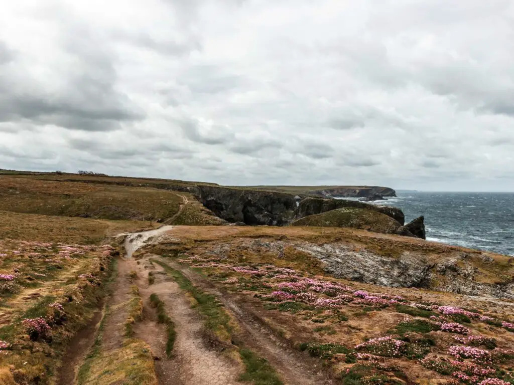 A dirt trail running along the undulating land with the sea on the right side.