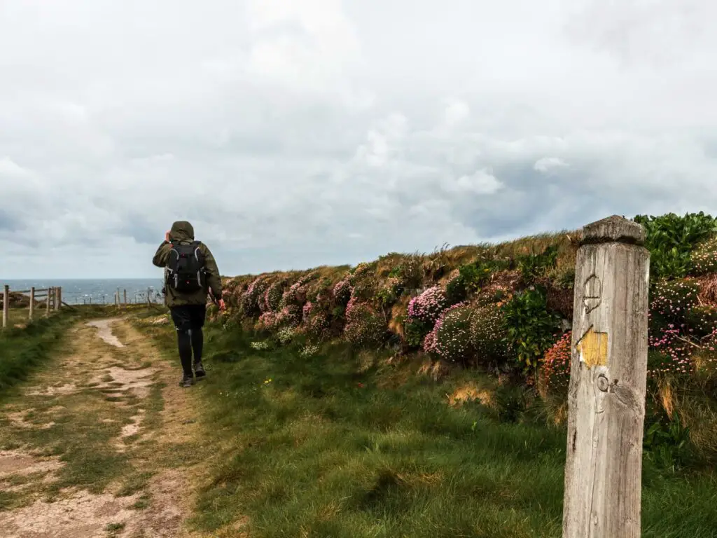 A man walking along a dirt grass trail with a moss covered wall with patches of flowers on the right side. There is a wooden stump signpost with a yellow arrow.