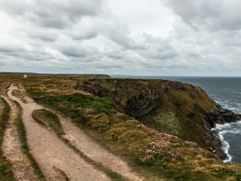 A walking trail along the grassy clifftop. The cliff meets the sea on the right.