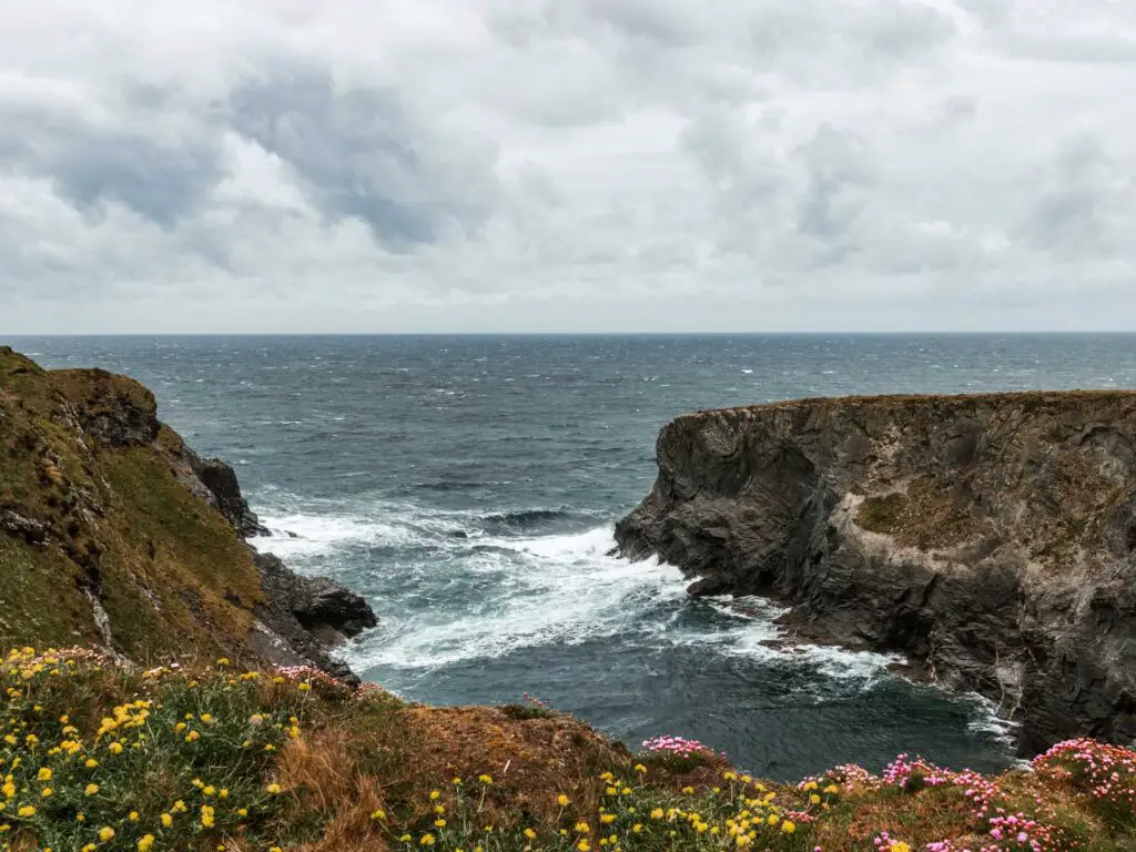 The sea surrounded by rugged cliffs in Cornwall. There are some small yellow and pink flowers on the clifftop in the front of the frame.