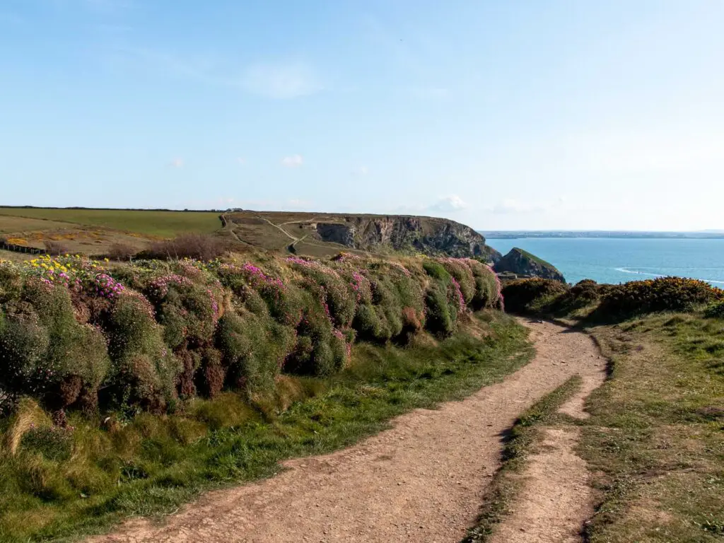 A dirt trail with a moss and flower covered wall on the left side. The blue sea is visible in the distance.