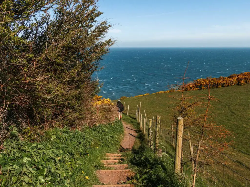Steps leading downhill with a green field on the right, trees and bushes on the left and the blue sea ahead.