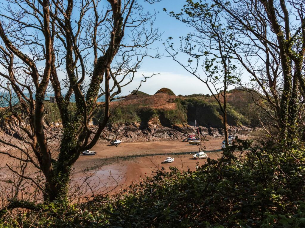 A view through the trees to watermouth bay with the tide out on the walk from Ilfracombe. There are a few boats resting on the sea bed.