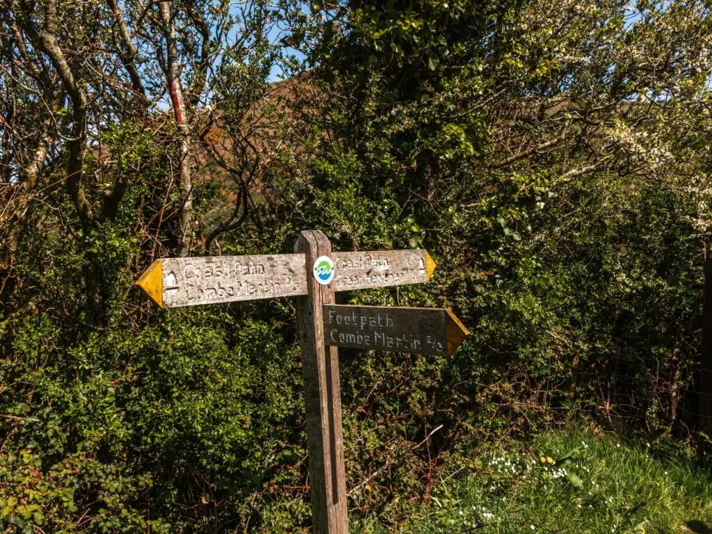 Wooden signpost pointing to Combe Martin and the coast path. The sign is in front of green bushes.