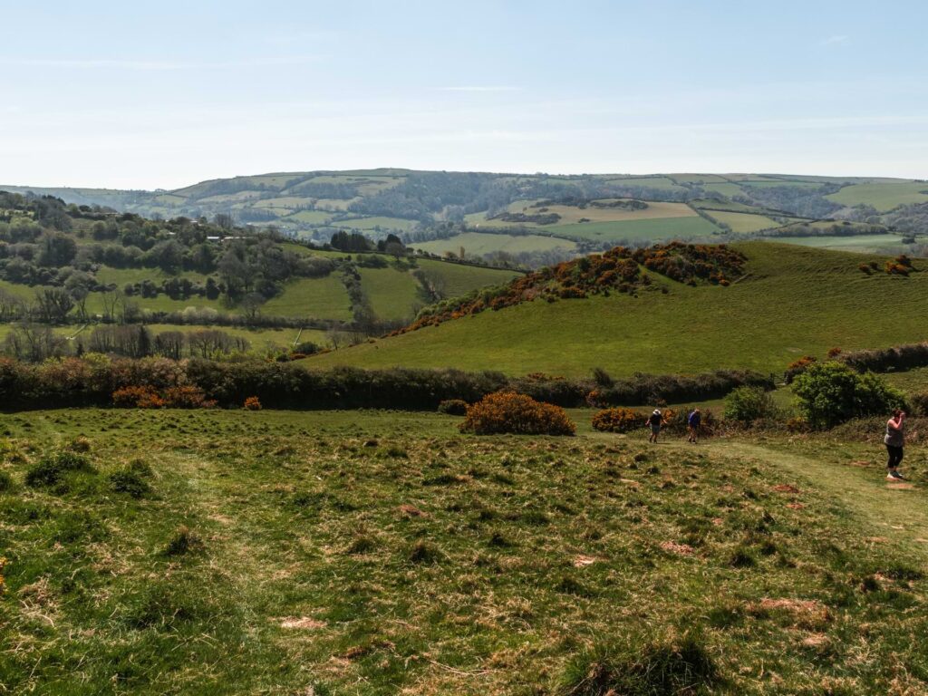 Green grass field leading to the undulating hills in North Devon.