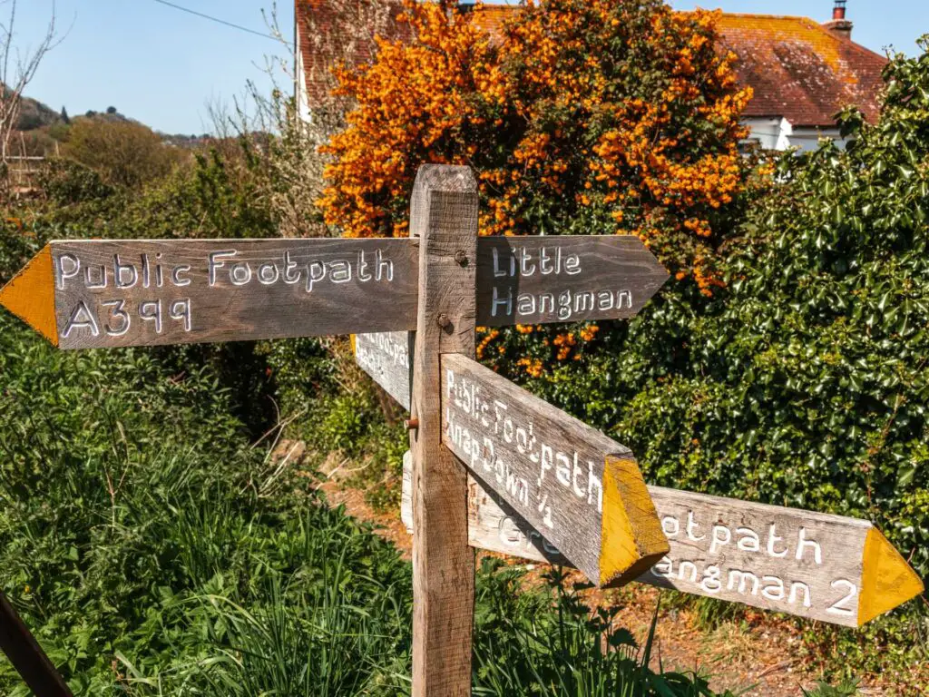  A wooden signpost pointing in five directions. The signpost is infront of the trail with a green hedge with orange coloured flowers behind it.