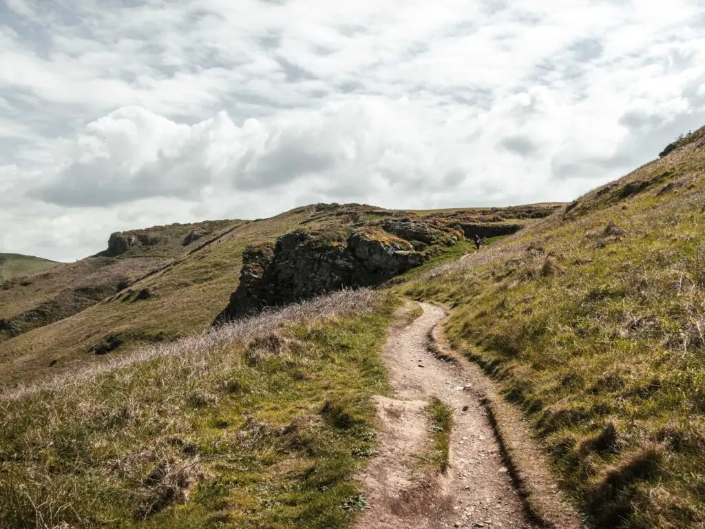 A narrow dirt trail running through the grass landscape. 