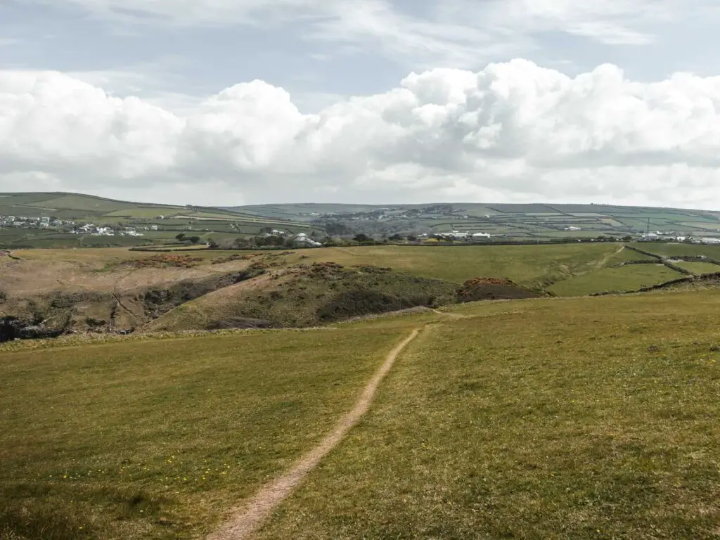 A very narrow trail through the grass and underling landscape in the distance.