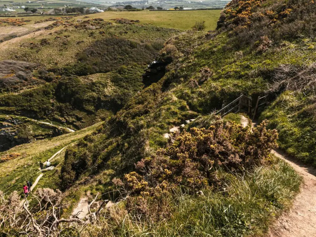 A trail leading steeply downhill through the green overgrown landscape.