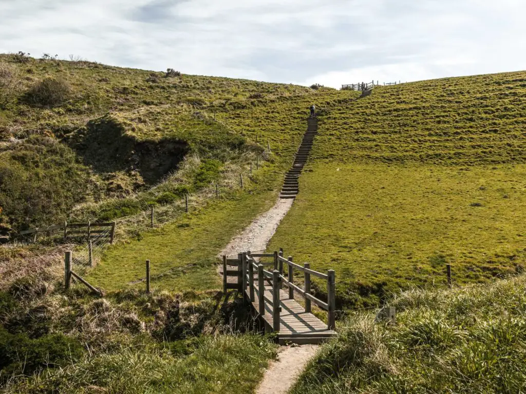 A wooden bridge in a valley with a trail going uphill on the other side.