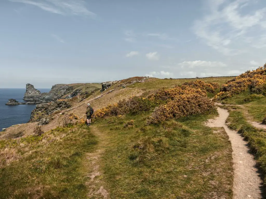 The main trail with a grass trail leading off it towards the blue sea. There is a man standing on the grass trail.