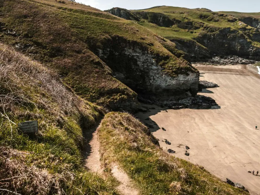 A narrow trail leading down there side of a hill towards the sand beach of Bossiney Bay. The beach is surrounded by craggy cliffs.