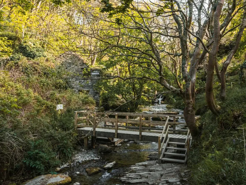 A wooden bridge over a river in the Rocky Valley. The water is surrounded by overgrown grass and trees.