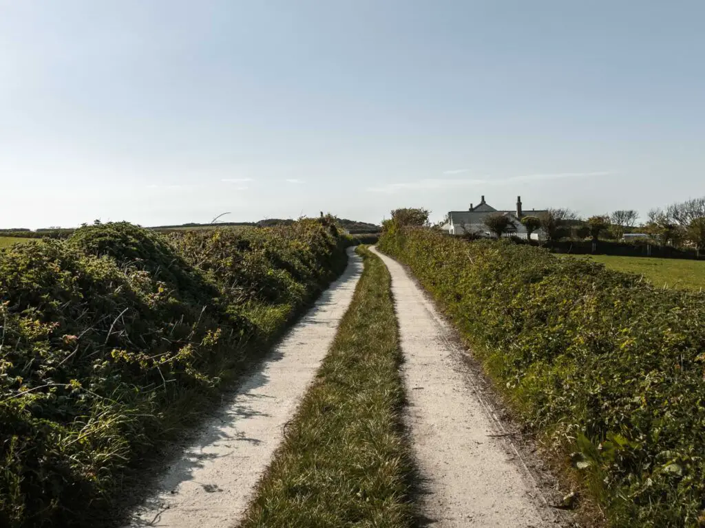 A track with a strip of grass down the middle and hedges on either side.