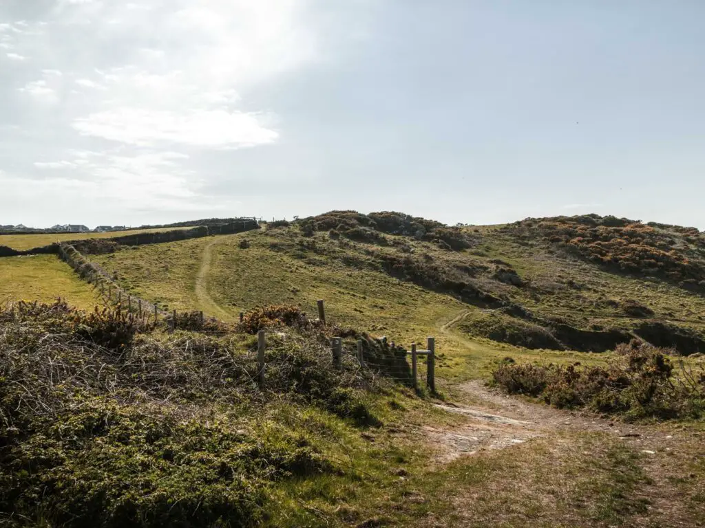 A hilly landscape with a grass Traill running uphill.