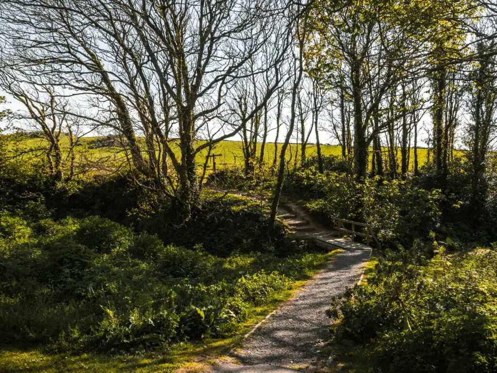 A gravel path leading through green grass and foliage. The is a bridge at the end then steps up to a green field. 