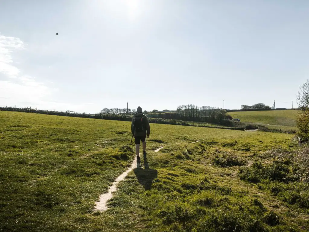 A man walking on a small trail through the green grass field.