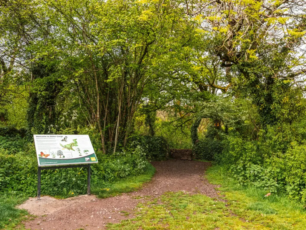 The start of the trail at the opening of the woodland. There is a big white information board.