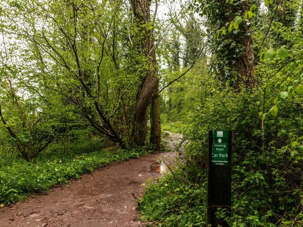 The trail with a signpost pointing the way through the woods.