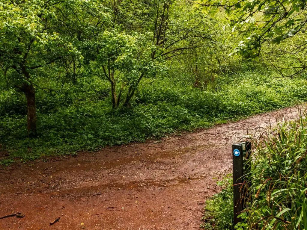 A wide muddy dirt trail with a small signpost.