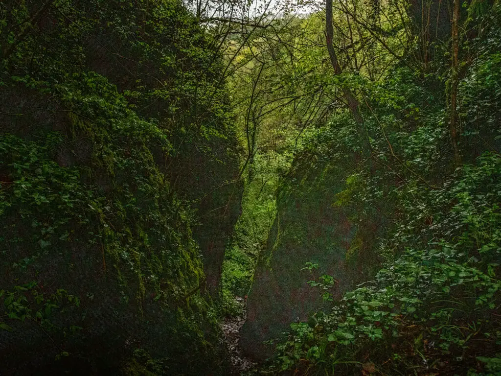 Looking through the opening of Ebbor Gorge.