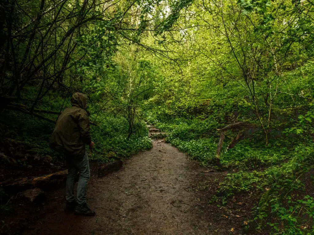 A man standing on a dirt trail surrounded by lush green leaves of the trees.