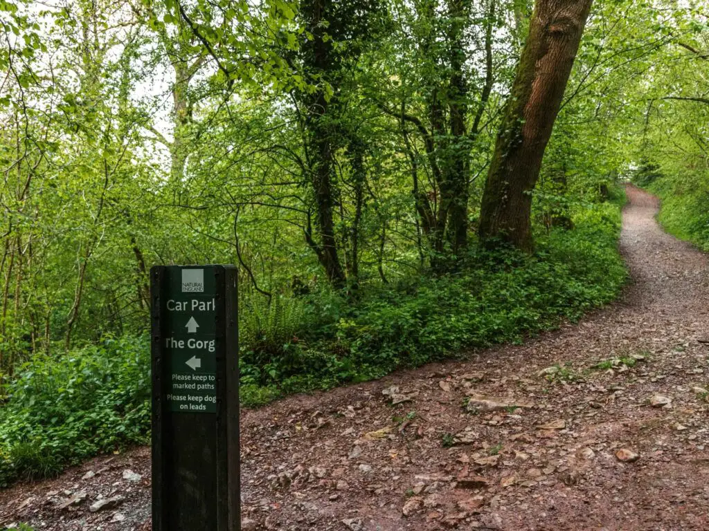 A rocky dirt trail in the woodland with a signpost pointing the way.