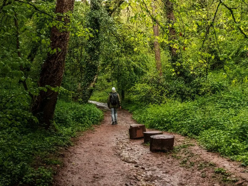 A man walking on a dirt trail surrounded by green bushes/shrubbery/trees.