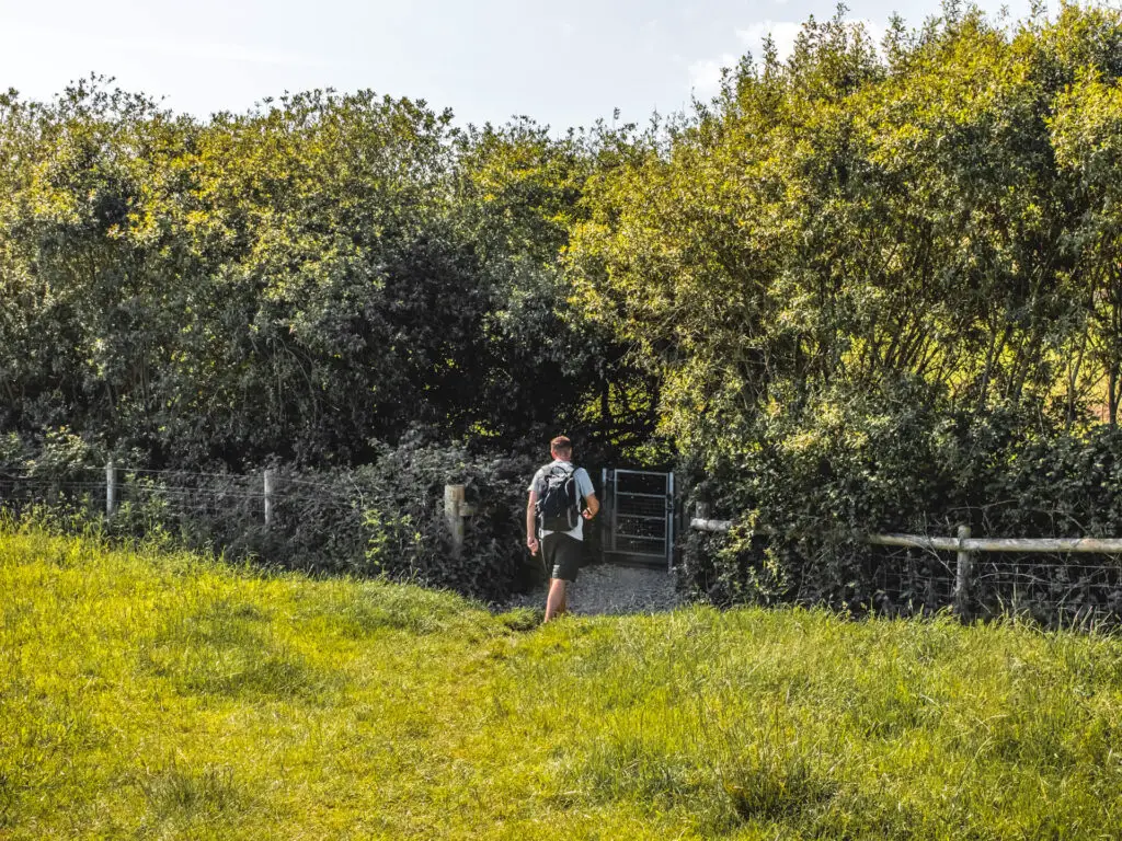 A man walking across the green grass to the gate between the trees and bushes.