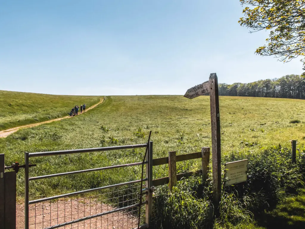 A large green field on the other side of the gate and fence. There is a trail running through the field uphill.