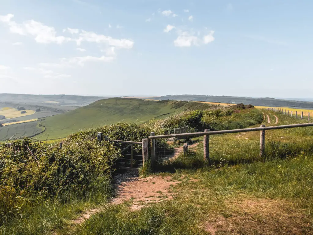 A dirt trail running along the ridge in Dorset.