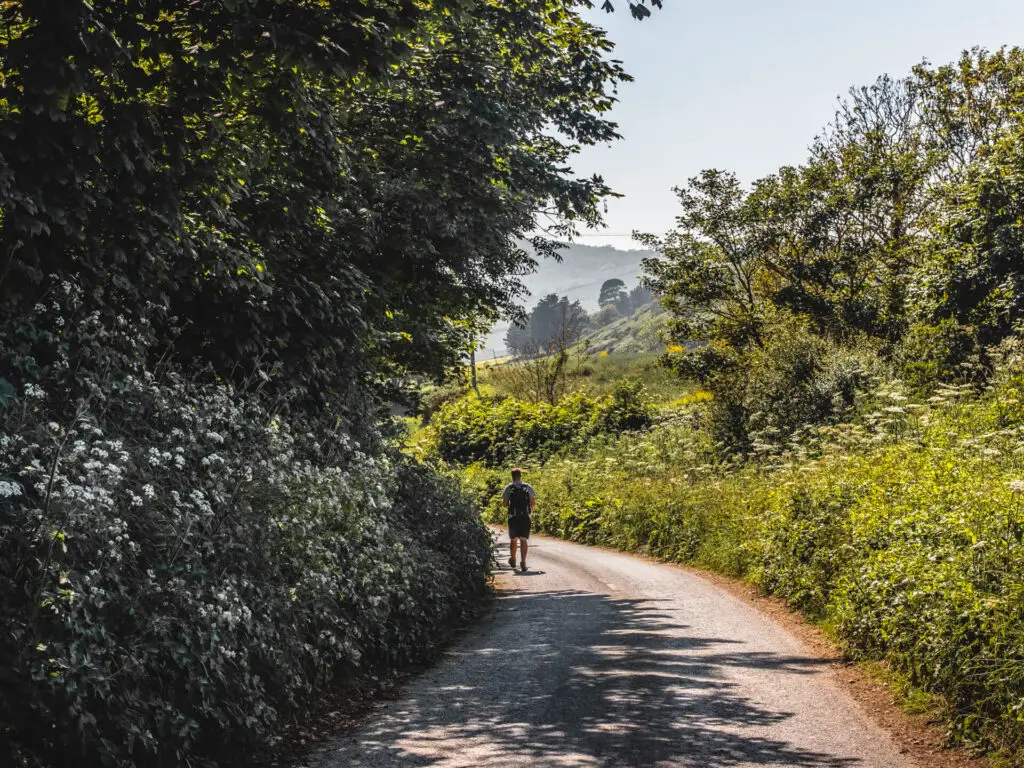 A man walking down a road as it curves around surrounded by bushes and trees.