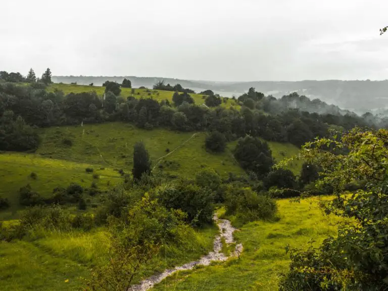 Box Hill Walk via The Stepping Stones: Ultimate Guide - She walks in ...