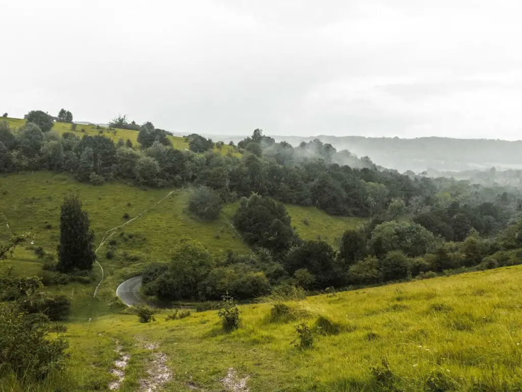 Looking down into the green hill valley on one of the best walks in the Surrey Hills. There is a road bend at the bottom of the valley, filled with trees. It is a misty day.