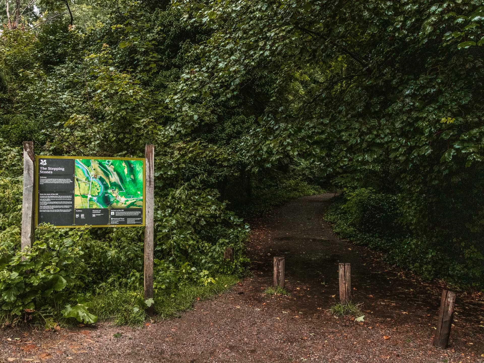 Box Hill Walk via The Stepping Stones: Ultimate Guide - She walks in ...