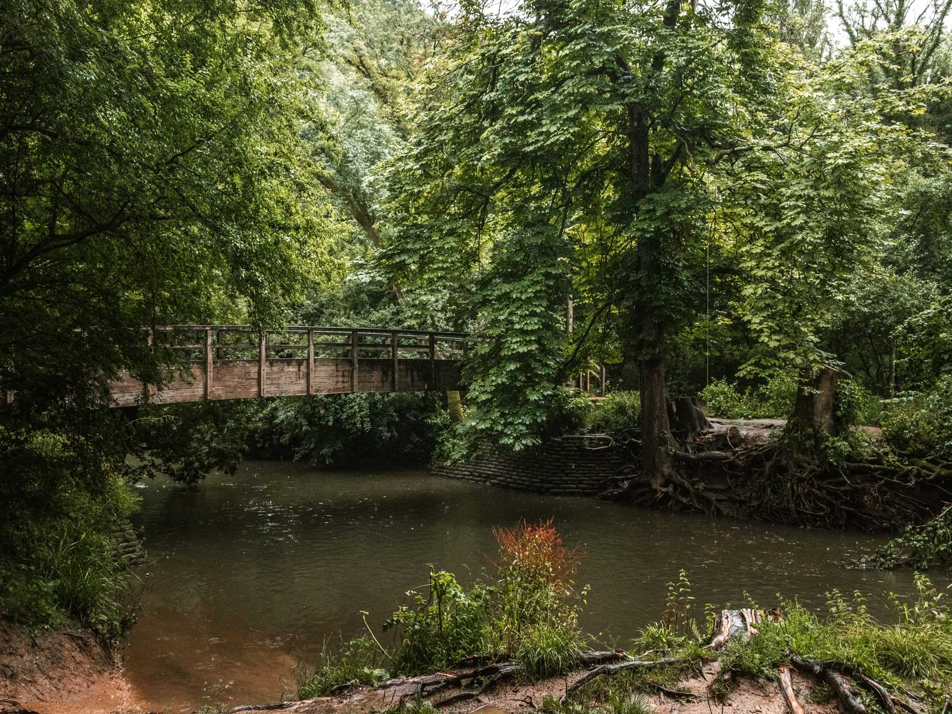 Box Hill Walk via The Stepping Stones: Ultimate Guide - She walks in ...