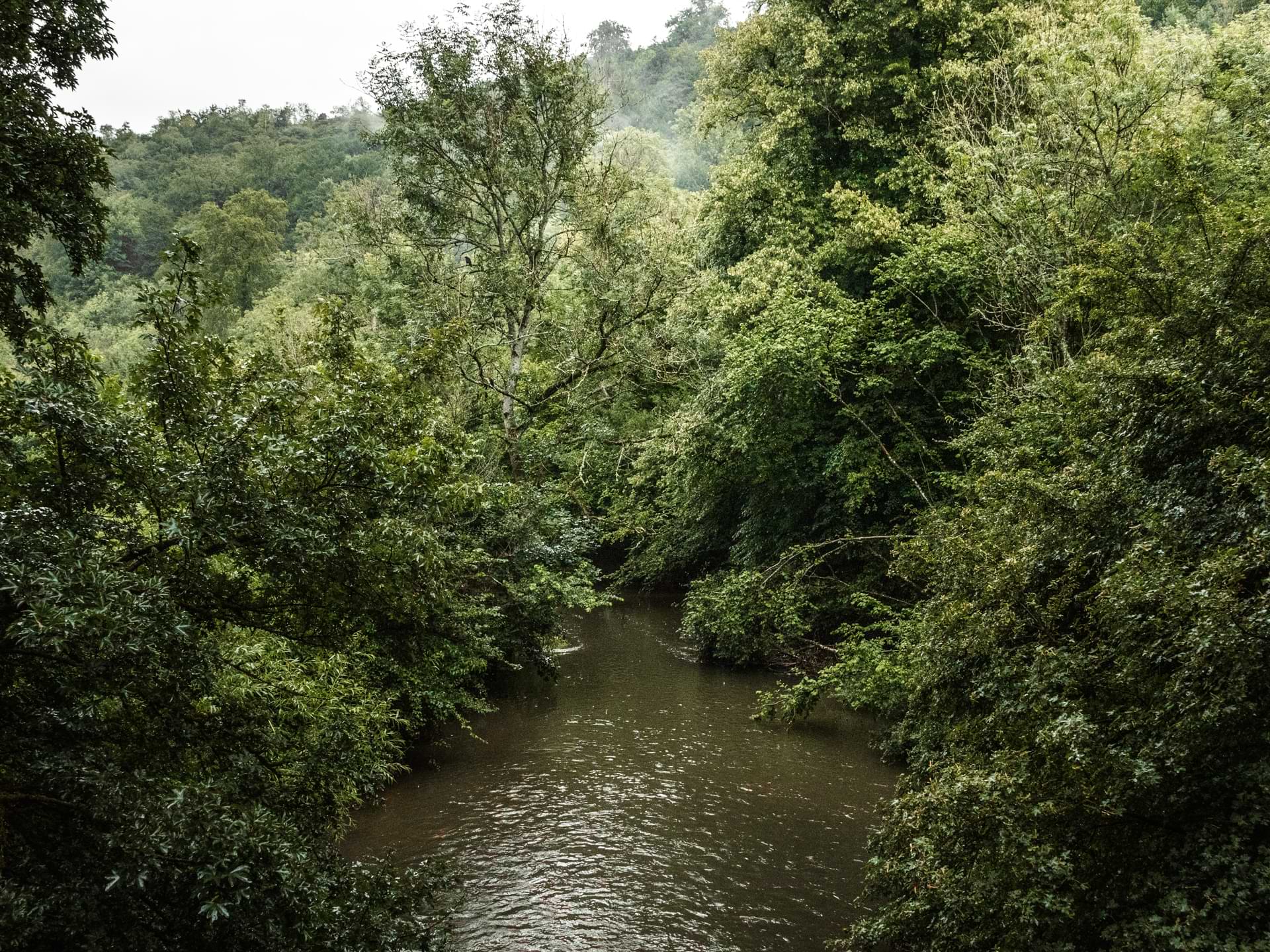 Box Hill Walk via The Stepping Stones: Ultimate Guide - She walks in ...