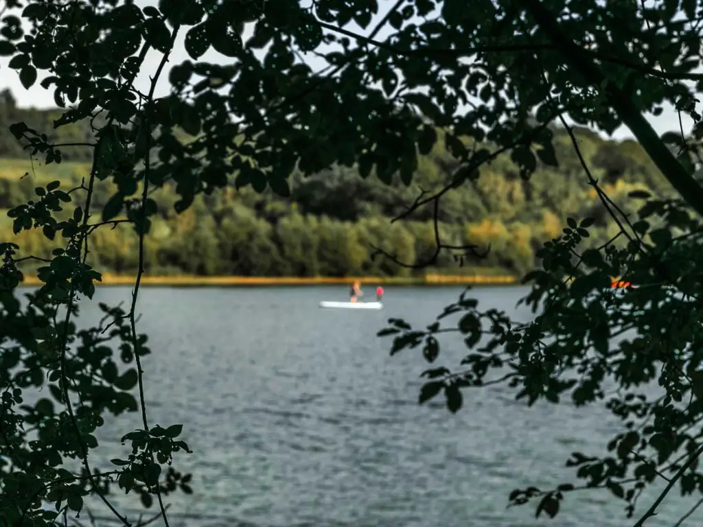 Looking through the framing tree leaves to the Ardingly Reservoir on the circular walk from Balcombe to the Ouse Valley Viaduct. There are blurred out stand up paddle boarders in the middle of the frame.