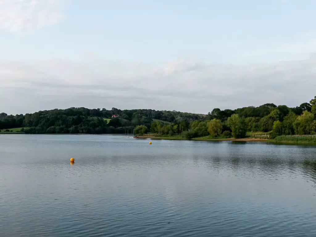 The gentle ripple of the water of the ardingly reservoir on the circular walk around it and towards the ouse valley viaduct. There are a couple of orange buoys on the water, and lush green trees and hills on the other side.