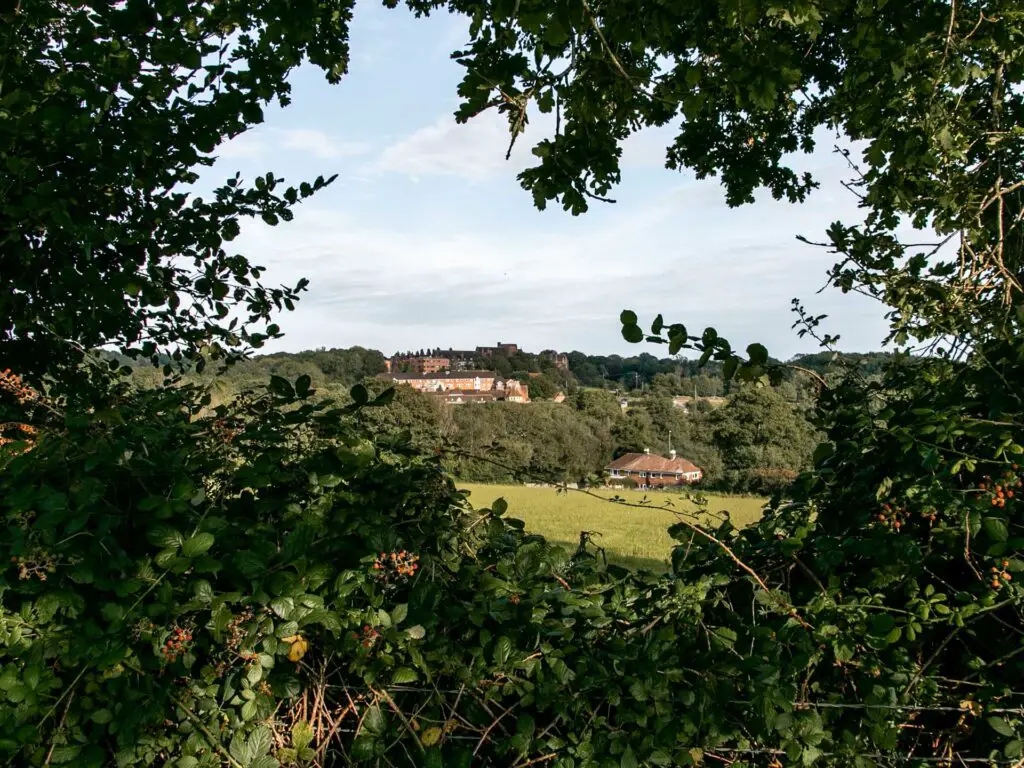 A view through the framing leaves, towards a field and houses in the distance, on the walk towards the ouse valley viaduct from the ardingly reservoir. 