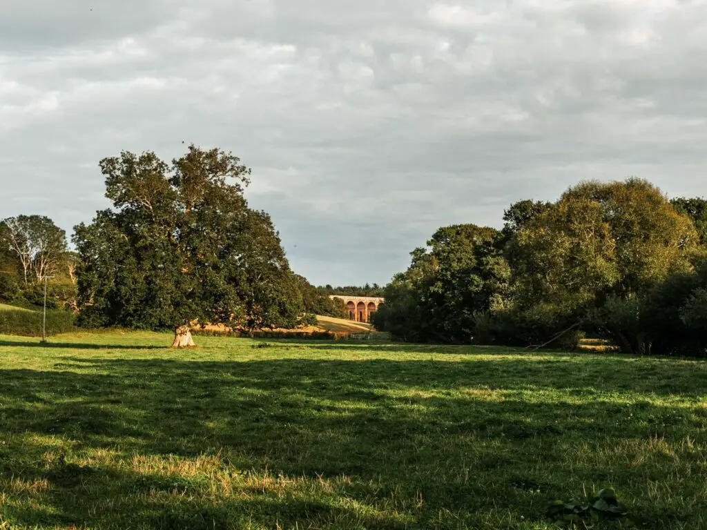 taking a walk across the green grass field with a small part of the ouse valley viaduct visible on the other side in the distance. It is partially hidden by trees.