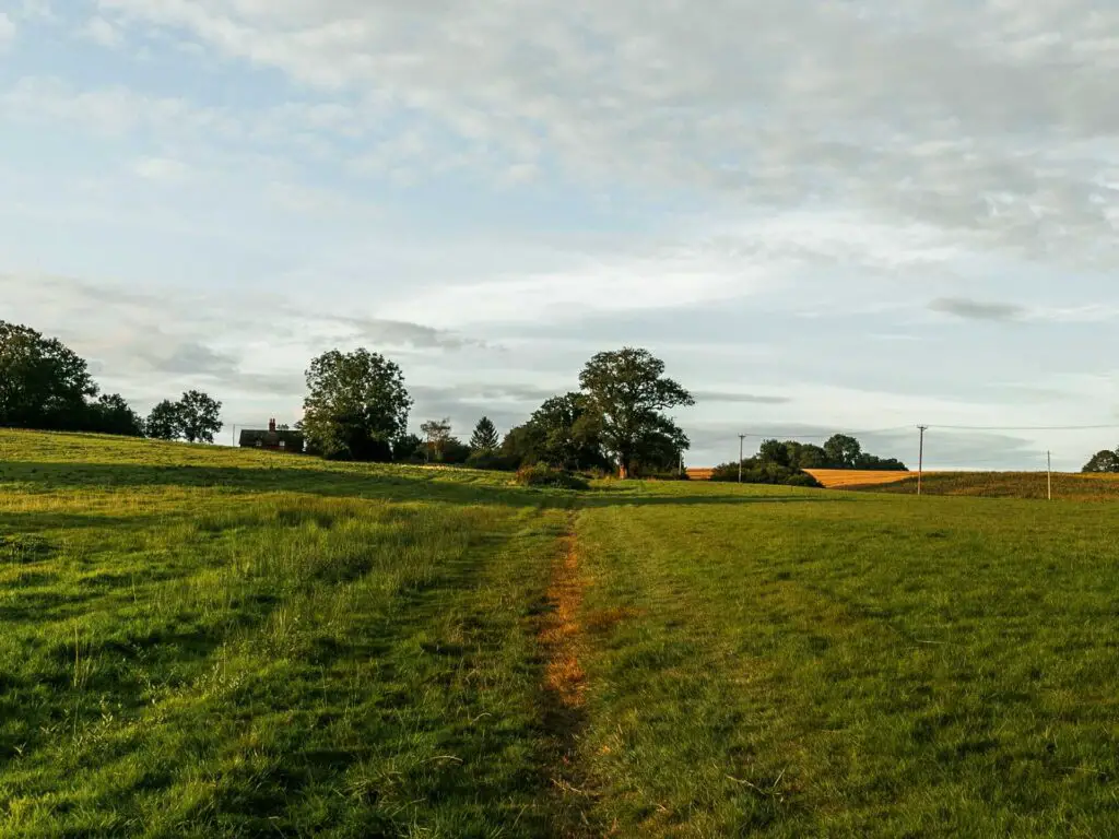 A small trail leading uphill through the large green grass field towards a few trees on the other side.